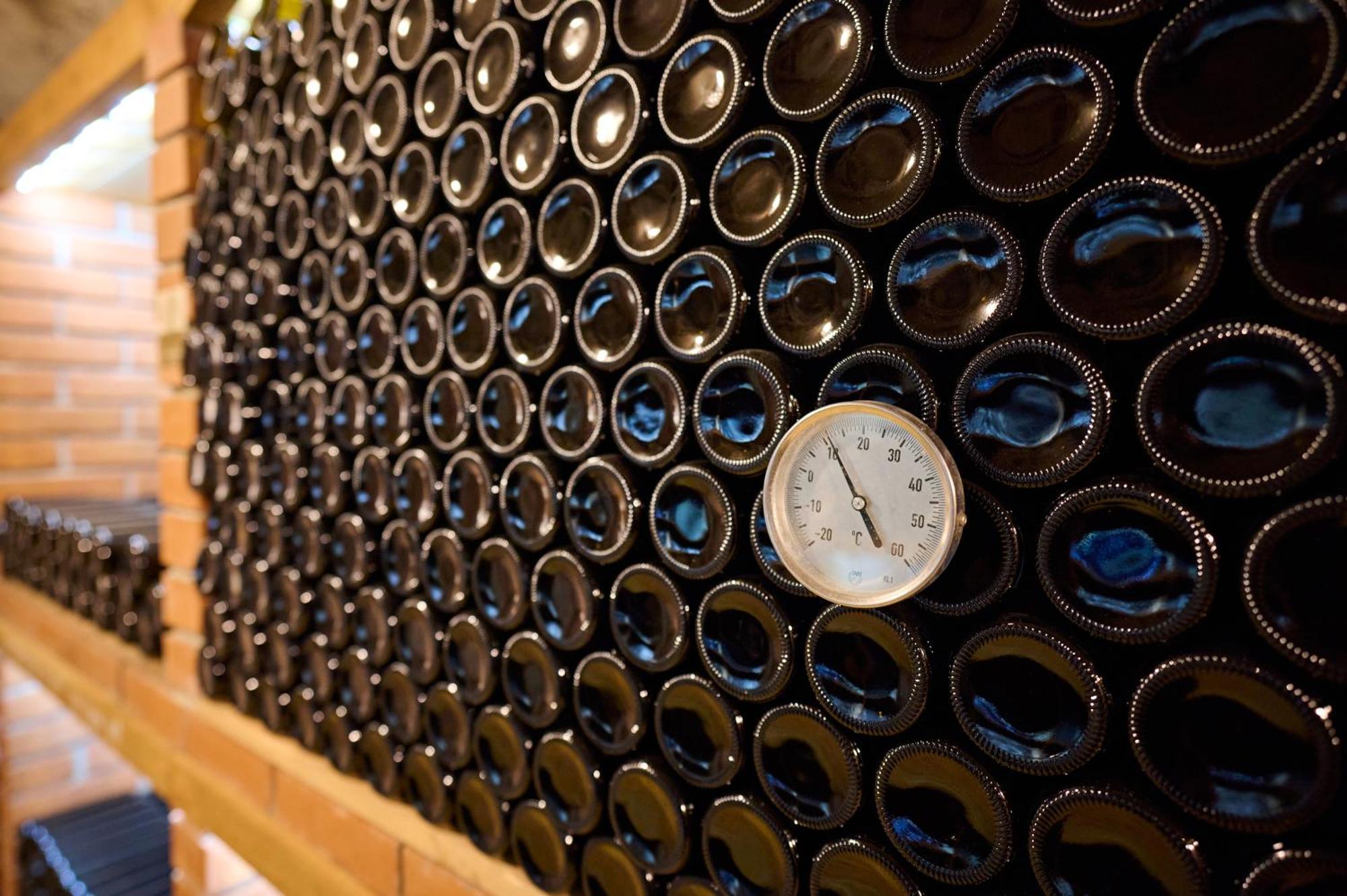 Wine House Kaloh Villa Maribor Buitenkant foto