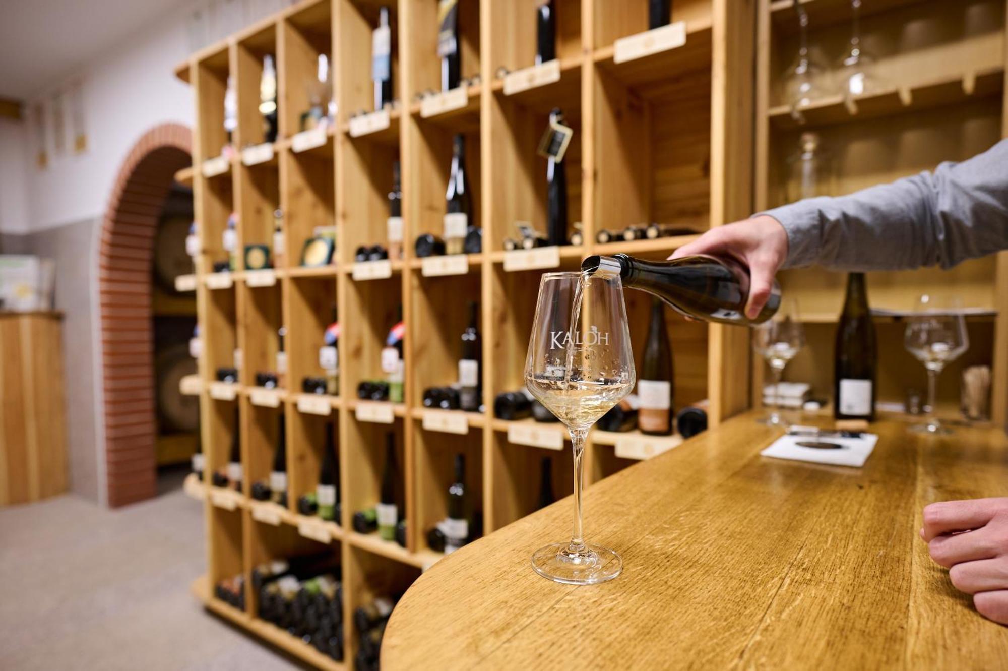 Wine House Kaloh Villa Maribor Buitenkant foto
