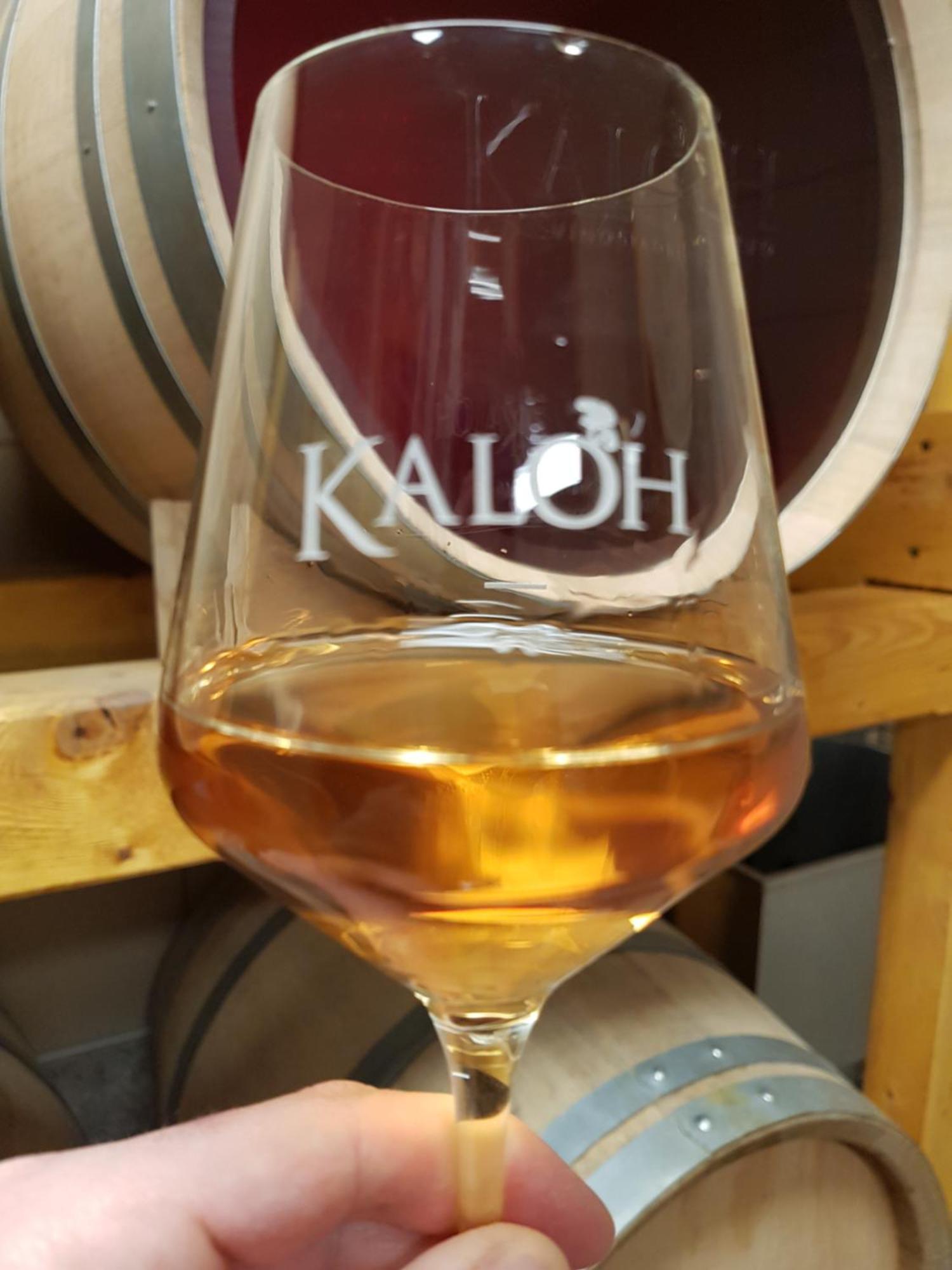 Wine House Kaloh Villa Maribor Buitenkant foto