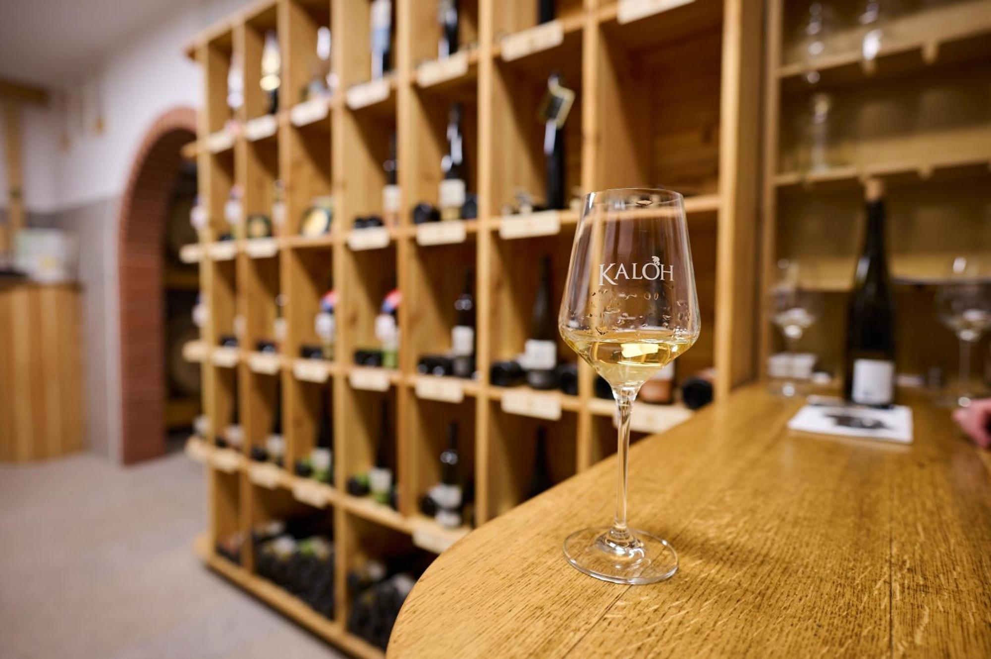 Wine House Kaloh Villa Maribor Buitenkant foto