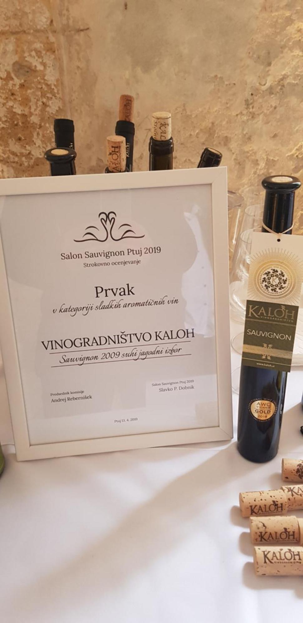 Wine House Kaloh Villa Maribor Buitenkant foto