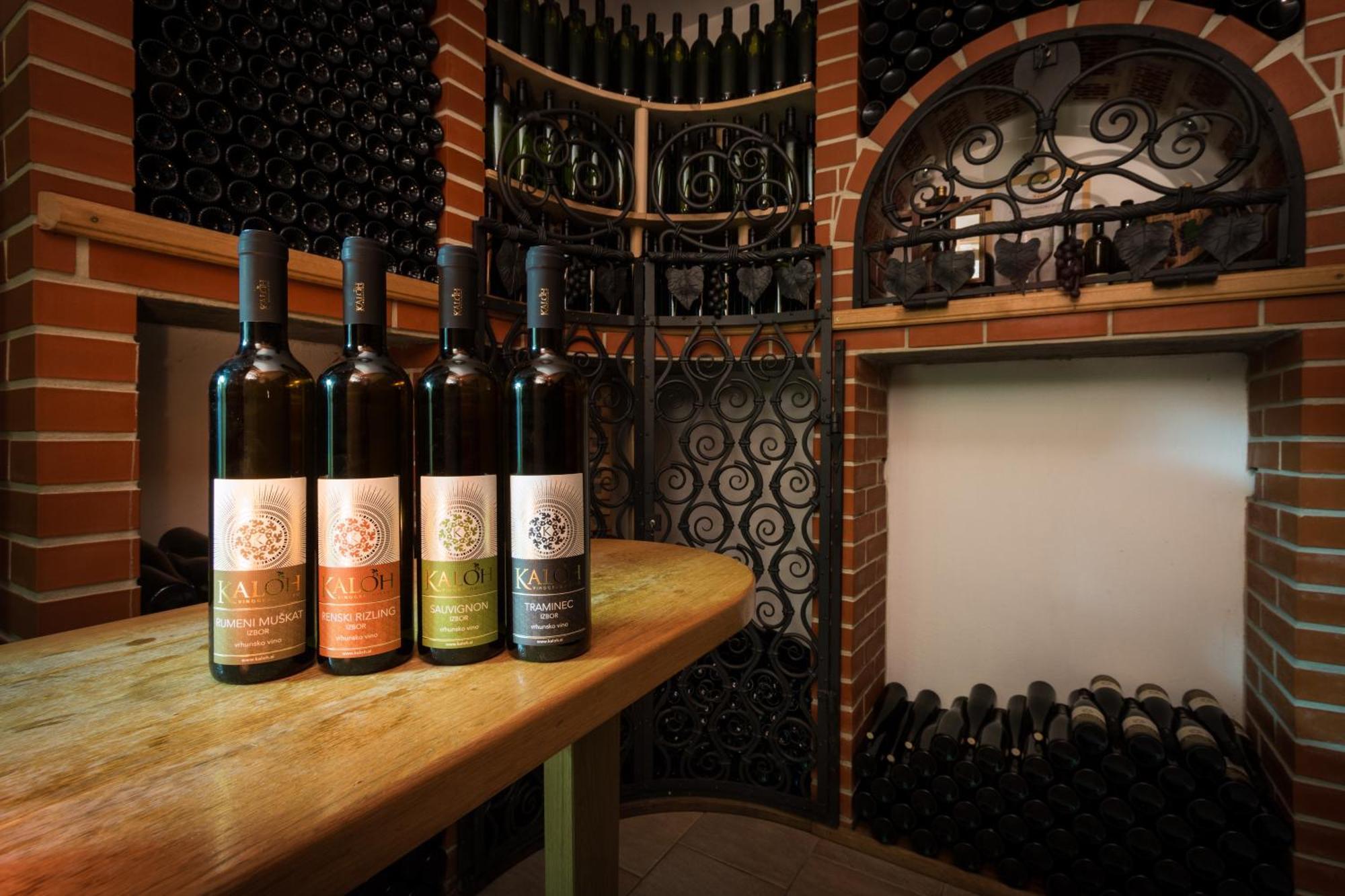 Wine House Kaloh Villa Maribor Buitenkant foto