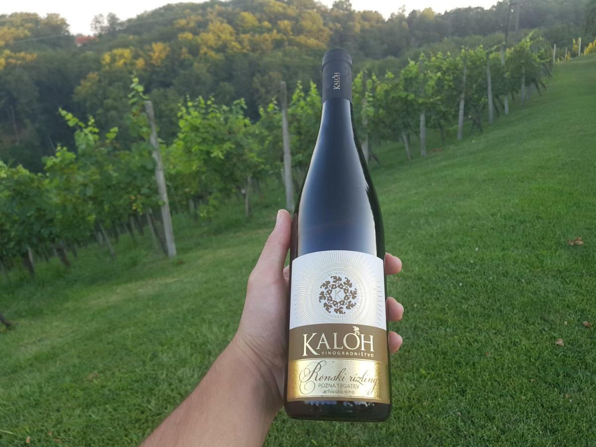 Wine House Kaloh Villa Maribor Buitenkant foto
