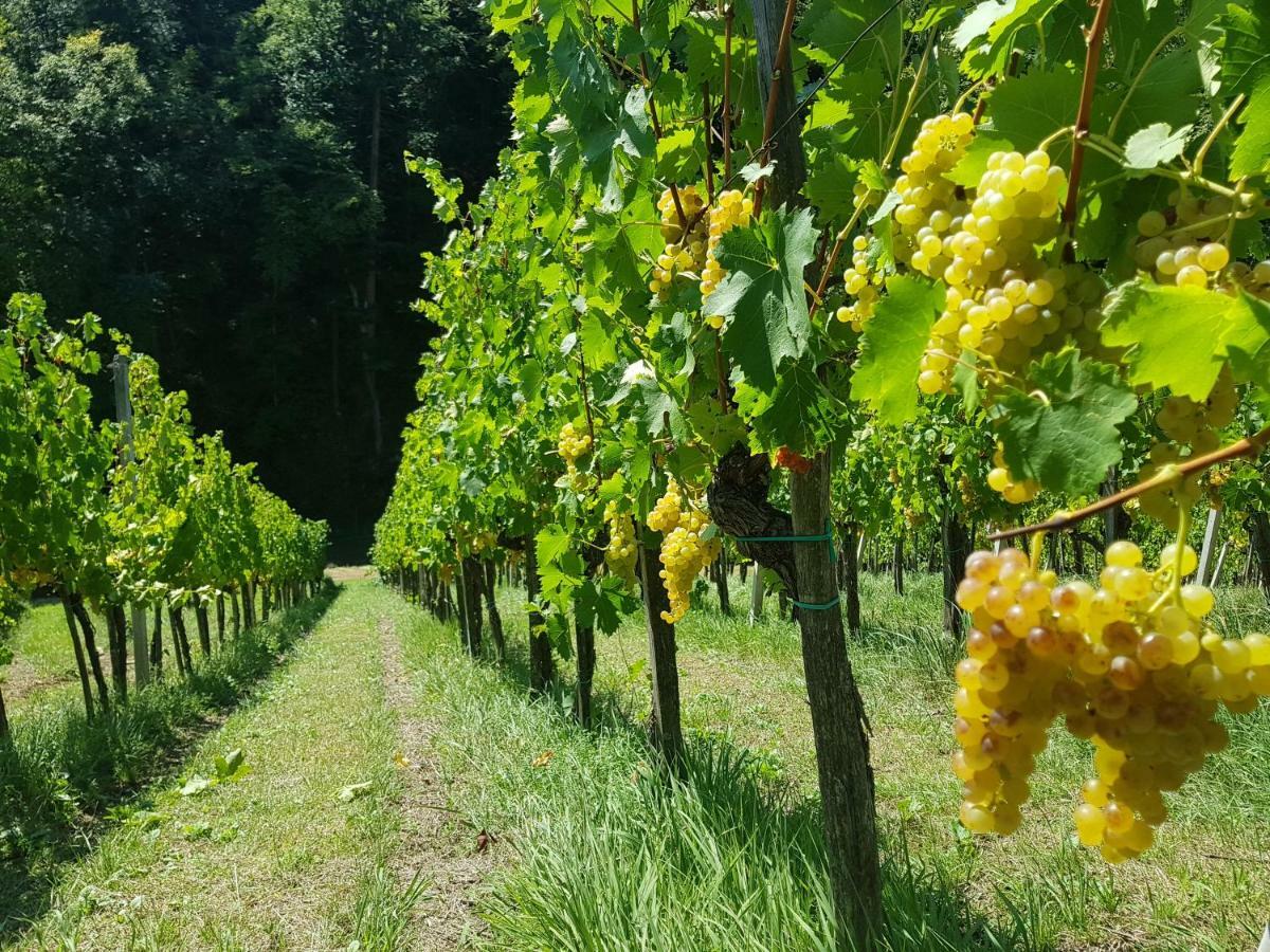 Wine House Kaloh Villa Maribor Buitenkant foto