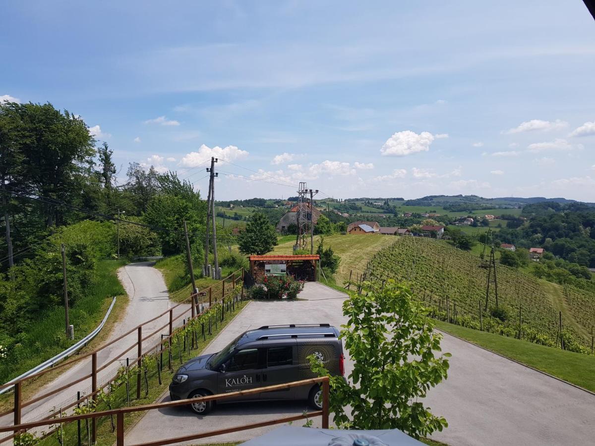 Wine House Kaloh Villa Maribor Buitenkant foto